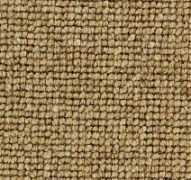 Ковролин Edel Centre Point 142 фото 1 | FLOORDEALER