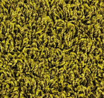 Ковролин Edel Vivaldi 154 фото 1 | FLOORDEALER