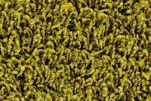 Ковролин Edel Vivaldi 154 фото  | FLOORDEALER