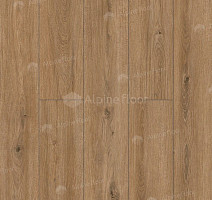 Classen Arteo 8 M 62754 Дуб Катам фото 3 | FLOORDEALER