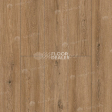 Classen Arteo 8 M 62754 Дуб Катам фото 3 | FLOORDEALER