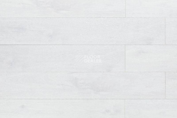 Кварцвиниловые полы Aquafloor Space AF4031SPC фото 1 | FLOORDEALER