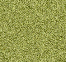 Ковролин Desso Torso B 6204 фото 1 | FLOORDEALER