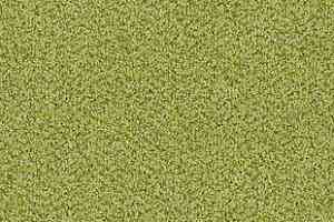 Ковролин Desso Torso B 6204 фото  | FLOORDEALER