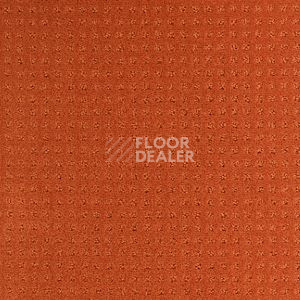 Ковролин Balsan Territoires Atrium 451 фото 1 | FLOORDEALER