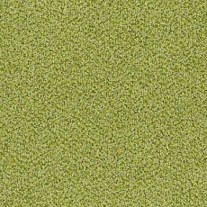 Ковролин Desso Torso B 6204 фото 1 | FLOORDEALER