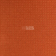 Ковролин Balsan Territoires Atrium 451 фото 1 | FLOORDEALER