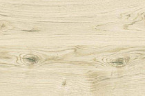 Пробковое покрытие Corkstyle Wood OAK VIRGINIA WHITE фото 1 | FLOORDEALER