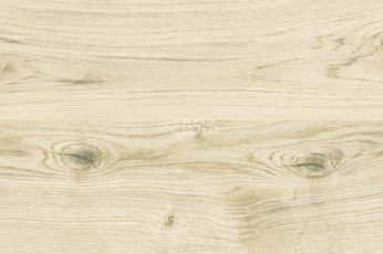 Пробковое покрытие Corkstyle Wood OAK VIRGINIA WHITE фото 1 | FLOORDEALER
