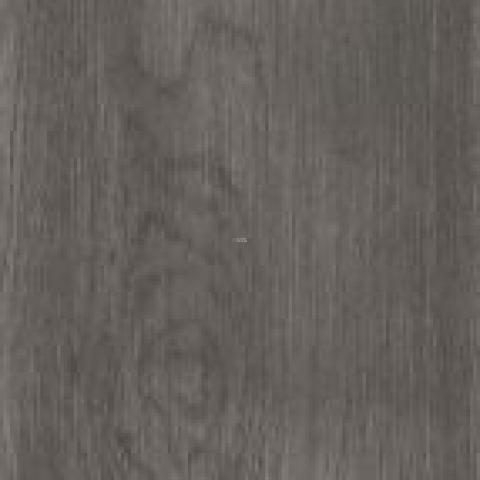 Alpine Floor Studio Дуб Грей Ew 200-05 фото 2 | FLOORDEALER