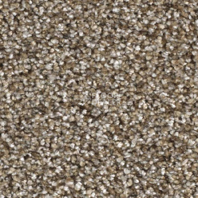 Ковролин Balsan Feelings 630 фото 1 | FLOORDEALER