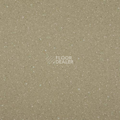 Линолеум Lg Compact CT90515 фото 1 | FLOORDEALER