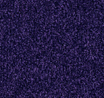 Ковровая плитка Balsan Bolero 895 фото 1 | FLOORDEALER