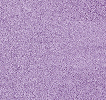 Ковролин ITC Carpe Diem Carpe Diem 080 фото 1 | FLOORDEALER