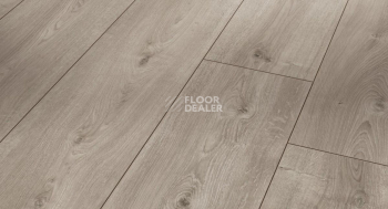 Ламинат Parador Trendtime 6 1567471 Дуб Валере Беленый Жемчужно-серый фото 1 | FLOORDEALER