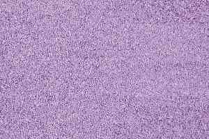 Ковролин ITC Carpe Diem Carpe Diem 080 фото  | FLOORDEALER