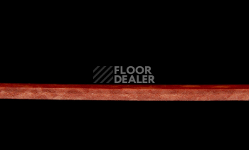 Tarkett iq Melodia 2634 фото 4 | FLOORDEALER