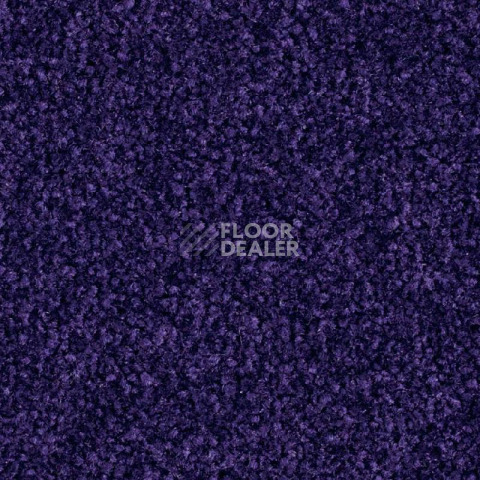 Ковровая плитка Balsan Bolero 895 фото 1 | FLOORDEALER