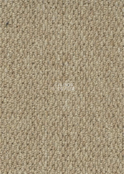 Ковролин AW Skye 50 фото 1 | FLOORDEALER
