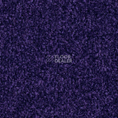 Ковровая плитка Balsan Bolero 895 фото 1 | FLOORDEALER