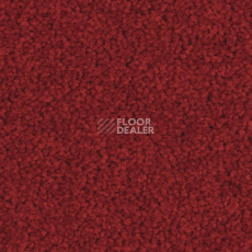 Ковролин Balsan Serenite 570 фото 1 | FLOORDEALER