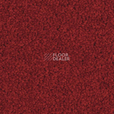 Ковролин Balsan Serenite 570 фото 1 | FLOORDEALER