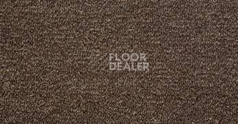 Ковролин Sintelon Dragon 31431 фото 1 | FLOORDEALER