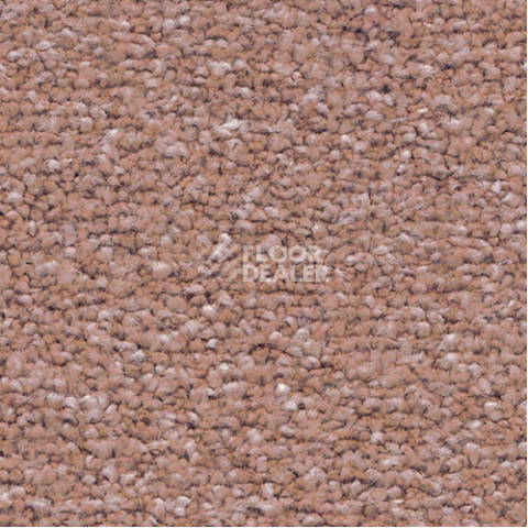 Ковролин Associated Weavers Mare 80 фото 1 | FLOORDEALER