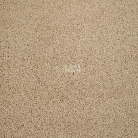 Haima Noble 41 фото 20 | FLOORDEALER
