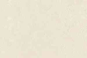 Линолеум Forbo Marmoleum Solid Concrete 3729-372935 mica фото  | FLOORDEALER