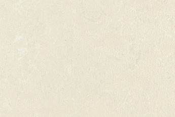 Forbo Marmoleum Solid Concrete 3729-372935 mica фото 1 | FLOORDEALER