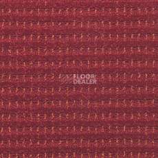 Ковролин Balta ITC Splendid 79 фото 1 | FLOORDEALER