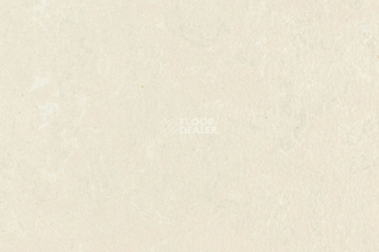 Линолеум Forbo Marmoleum Solid Concrete 3729-372935 mica фото 1 | FLOORDEALER
