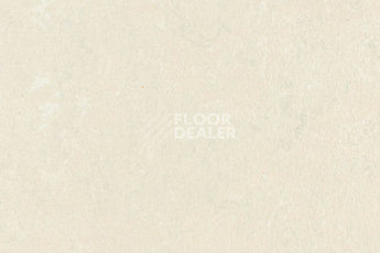 Линолеум Forbo Marmoleum Solid Concrete 3729-372935 mica фото 1 | FLOORDEALER