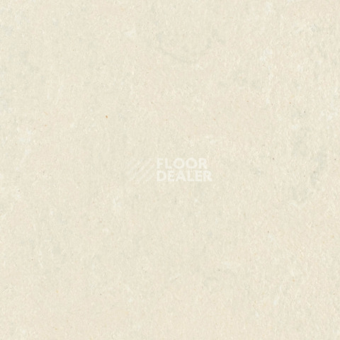 Линолеум Forbo Marmoleum Solid Concrete 3729-372935 mica фото 1 | FLOORDEALER