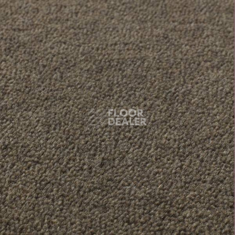 Ковролин Jacaranda Carpets Sambar Granite фото 1 | FLOORDEALER