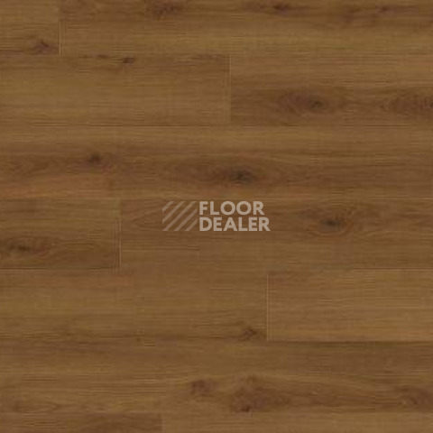 Ламинат Haro Tritty 100 4V ДУБ ЭМИЛИЯ ЯНТАРНЫЙ 541476 фото 1 | FLOORDEALER