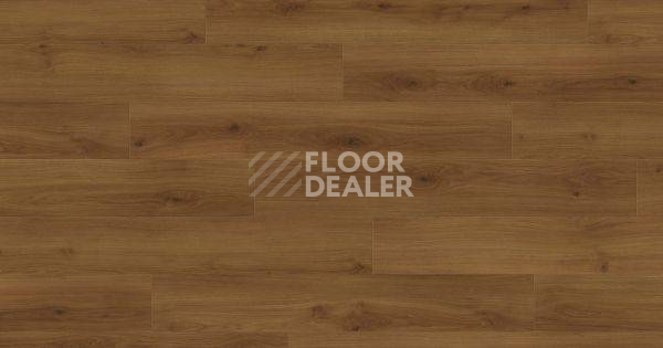 Ламинат Haro Tritty 100 4V ДУБ ЭМИЛИЯ ЯНТАРНЫЙ 541476 фото 1 | FLOORDEALER