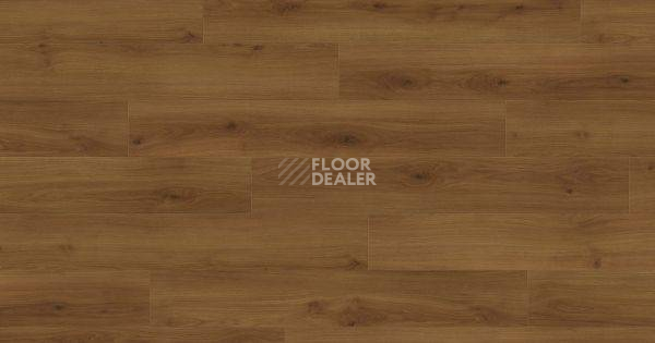 Ламинат Haro Tritty 100 4V ДУБ ЭМИЛИЯ ЯНТАРНЫЙ 541476 фото 1 | FLOORDEALER