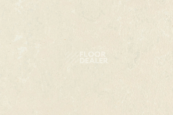 Линолеум Forbo Marmoleum Solid Concrete 3729-372935 mica фото 1 | FLOORDEALER