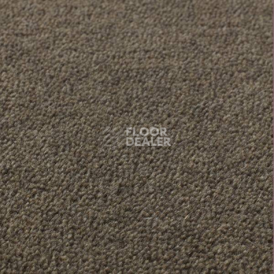 Ковролин Jacaranda Carpets Sambar Granite фото 1 | FLOORDEALER