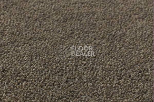 Ковролин Jacaranda Carpets Sambar Granite фото 1 | FLOORDEALER