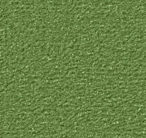 Ковролин Vorwerk Passion 1021 Vorwerk 4e13 фото 1 | FLOORDEALER