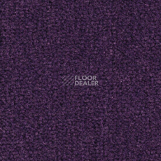 Ковролин Balsan Les Best 899 фото 1 | FLOORDEALER