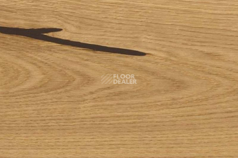 Пробковое покрытие Wood Xl Oak  Accent фото 1 | FLOORDEALER