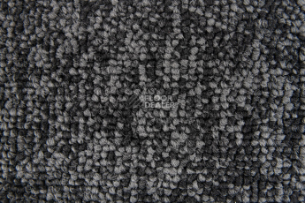 Standard Carpets Spectrum sm 579 фото 2 | FLOORDEALER