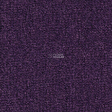 Balsan Les Best 899 фото 1 | FLOORDEALER