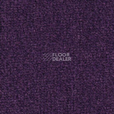 Ковролин Balsan Les Best 899 фото 1 | FLOORDEALER
