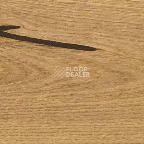 Пробковое покрытие Wood Xl Oak  Accent фото 1 | FLOORDEALER