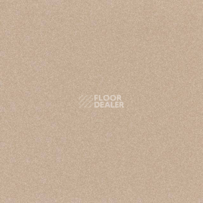 Линолеум Tarkett iq Melodia 2613 фото 1 | FLOORDEALER